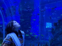 -石家庄极地海洋世界