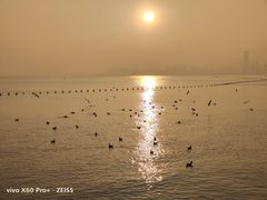-深圳湾公园(南山区)