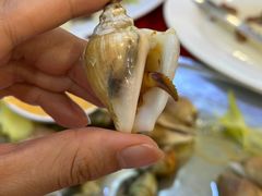东风螺-大茄来海鲜餐厅(亚洲城分行)