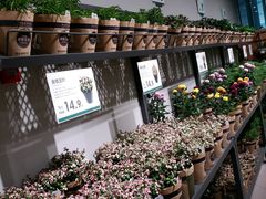 -鹿岛会员店 (龙湖三千集天街店)