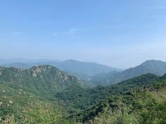 -大岭沟猕猴桃谷风景区