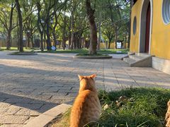 -西园戒幢律寺