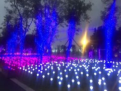 -琅岐红光湖公园