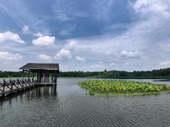 -溱湖国家湿地公园