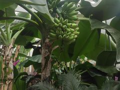 -石家庄市植物园