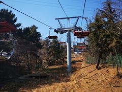 -青岛中山公园-索道售票处