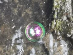 -白水寺森林公园