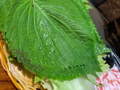 苏子叶-杀猪天·韩国烤肉(总店)