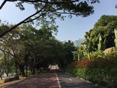 -南宁南湖公园