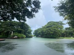 -瑰丽酒店·海吧·天际下午茶·现场DJ·天台酒吧