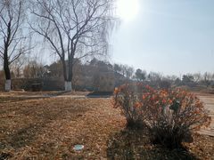 -莫子山公园