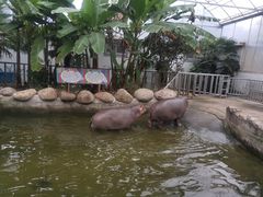 -宁波野生动物园