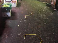 -菜园坝水果市场