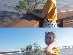 -宝安西湾红树林湿地公园