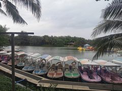 -白沙门生态公园