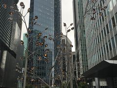 -飞跃加拿大