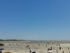 -北海金海湾红树林生态旅游区