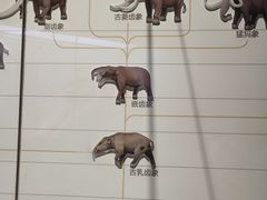 -国家自然博物馆