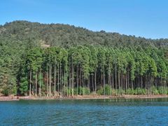 -宜春明月山维景国际温泉度假酒店