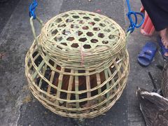 -清远三鸟海鲜农贸市场