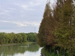 -同里国家湿地公园