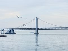 -星海湾跨海大桥