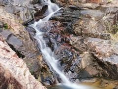 -广州白江湖森林公园