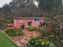 -南山植物园