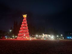 -海南清水湾莱佛士酒店