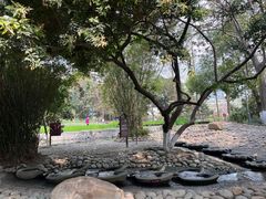 -成都市活水公园