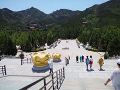 -龙口南山旅游景区