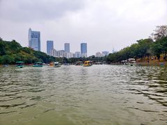 -莲花山公园