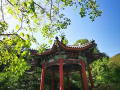 -香山公园