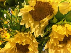 -BEAST野兽派(上海浦东嘉里城店)