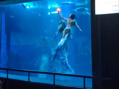 -太平洋海底世界