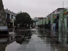 -证大大拇指广场(芳甸路店)