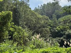 -火炉山森林公园