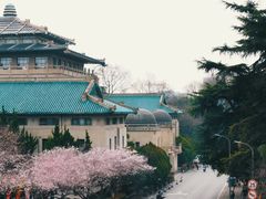 -武汉大学-樱园