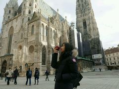 -斯蒂芬主教座堂(Stephansdom)