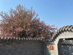 -青州古城