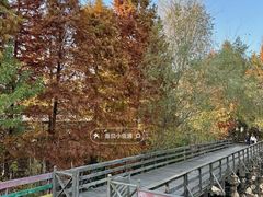 -溱湖国家湿地公园