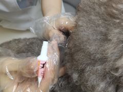 -谐和贝康宠物医院24小时·宠保定点(急重症转诊中心)
