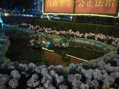 android_upload_pic-西北湖绿化广场