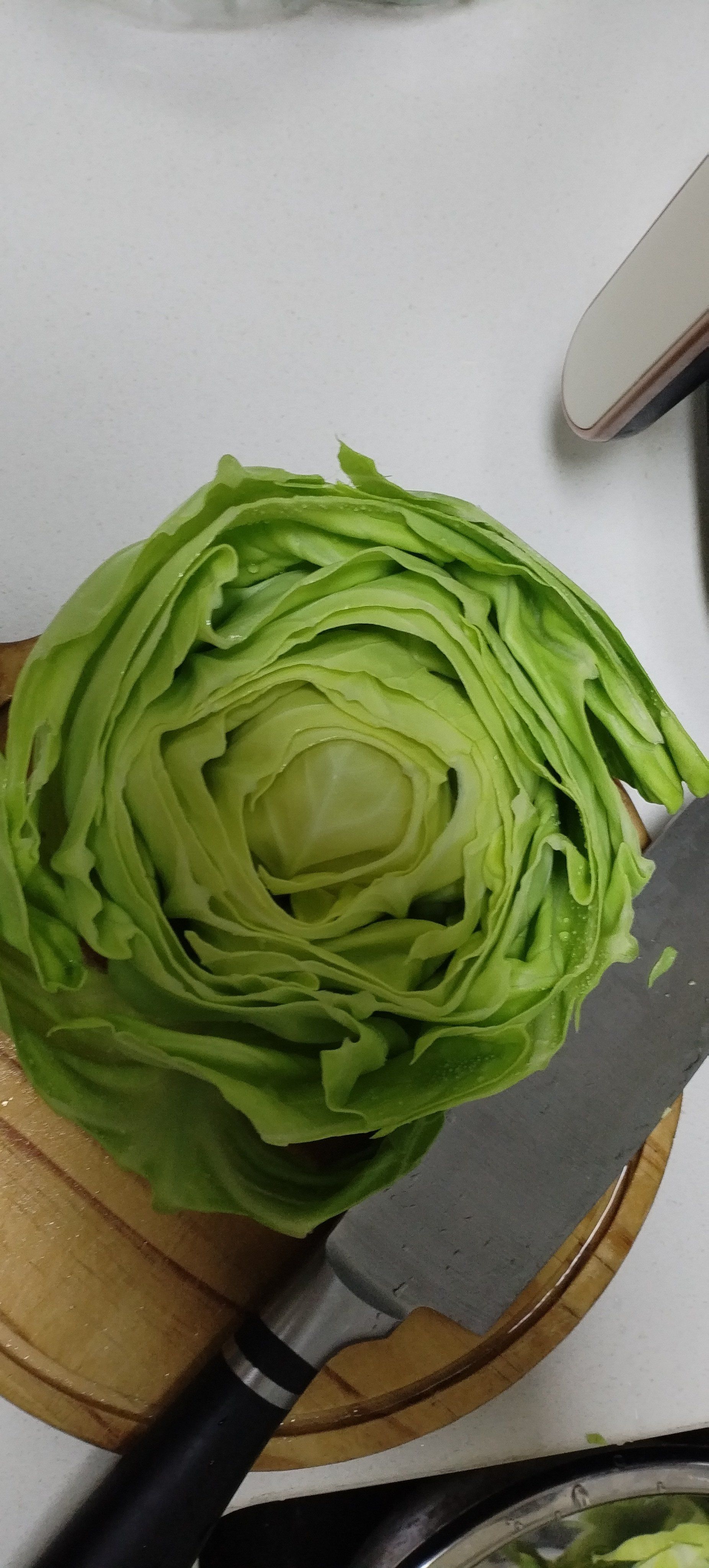 橄榄菜简直太新鲜了