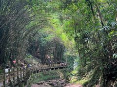 -凤栖山