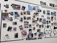 -瑞派·关忠动物医院·猫专科·犬专科(三环新城店)