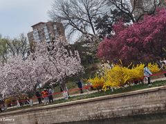 -元大都城垣遗址公园