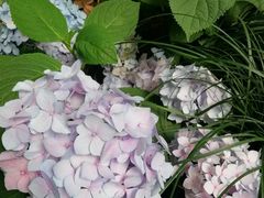 -常州古运河南大街文化旅游区-人民公园