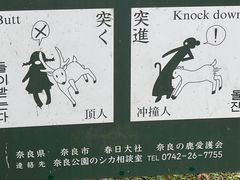 -奈良公园