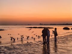 -老虎石海上公园